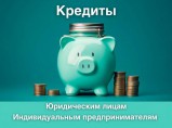 Помощь в получении кредита для ИП и ООО / Казань