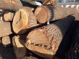 Пиломатериалы из дуба, бука, ясеня/ / Казань