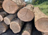 Пиломатериалы из дуба, бука, ясеня/ / Казань
