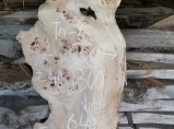 Слэбы  из дуба, бука, тополя, вербы, капового карагача, ясеня. / Казань